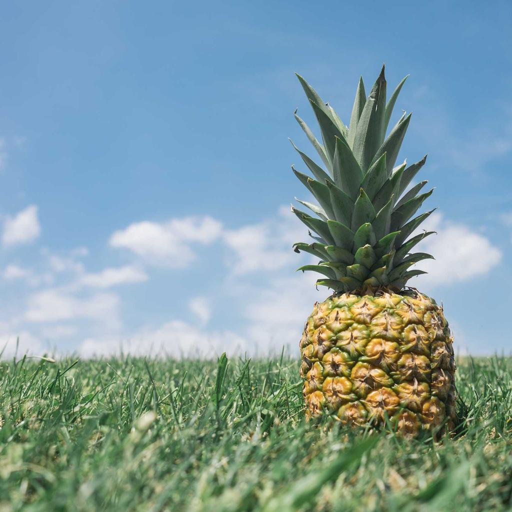 The Cold Start Is Dead: How MicroVM Snapshotting and Predictive Pre-Warming Are Rewriting the Rules of Hyperscale FaaS