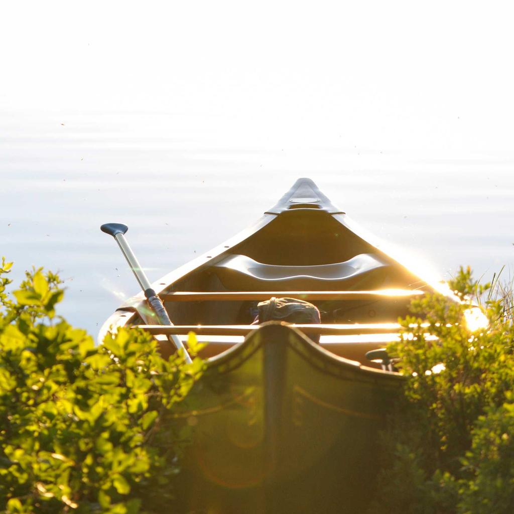 Beyond the Failover: Engineering the Zero-Downtime, Multi-Region Future
