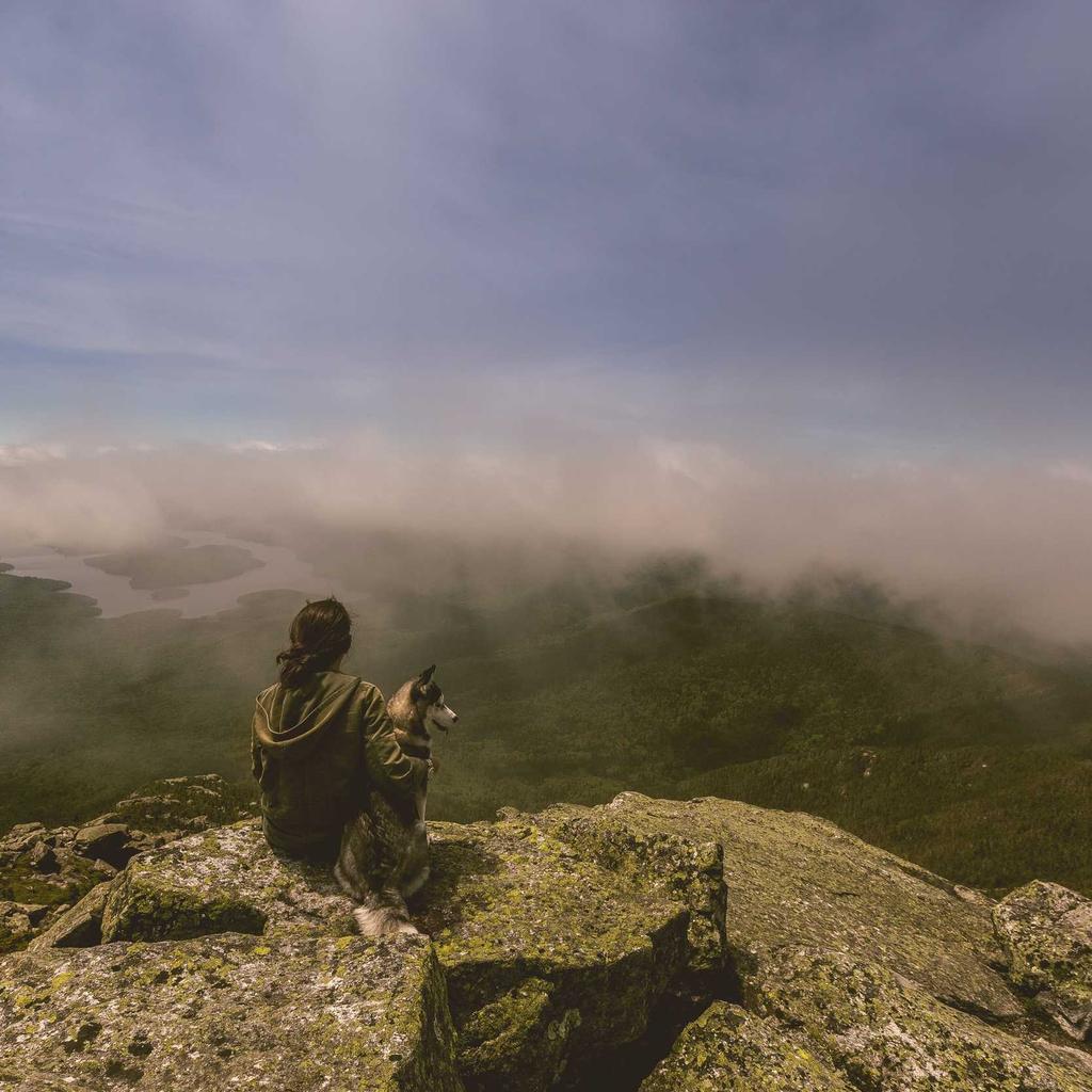 Beyond the Edge: Engineering the "Infinite" CDN in a Post-HTTP/3 World